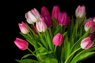 Bouquet of fresh tulips flowers on a table in empty house. Fresh summer pink flowers symbolising hope, love and growth. Bright flowers as a surprise gift or apology gesture against black copyspace