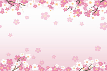 Naklejka na ściany i meble Cherry Blossom Background - 21