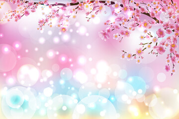 Cherry Blossom Background - 24