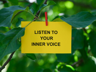 A paper note with the words Listen To Your Inner Voice  on it attached to a tree with a clothes pin