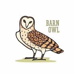Vector illustration of hand drawn gorgeous Barn Owl. Ink drawing, decorative graphic style. Beautiful animal design elements, logo template 
