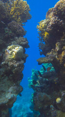 Sailing through a rift in a coral reef. Sun rays in beautiful underwater canyon in the Red Sea,...