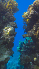 Obraz premium Sailing through a rift in a coral reef. Sun rays in beautiful underwater canyon in the Red Sea, Egypt