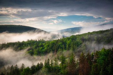 Obraz na płótnie Canvas Morning mists over the Karkonosze Mountains. Poland