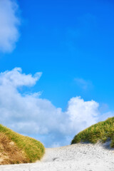 Landscape of sand dunes under cloudy blue sky copy space on the west coast of Jutland in Loekken, Denmark. Closeup of tufts of green grass growing on an empty beach during a summer day