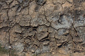 the texture of cracked earth