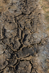 dry cracked soil