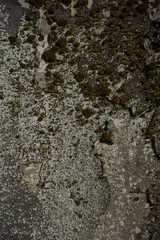 stone wall texture from the moment