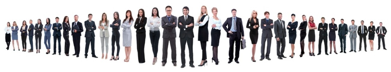 panoramic photo of a group of confident business people.