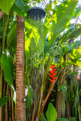 Outdoor garden shower, simulated with a natural log, with the rain on, surrounded by plants. 