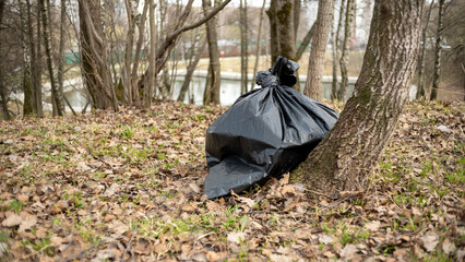 black garbage bag with autumn leaves under the trees, autumn