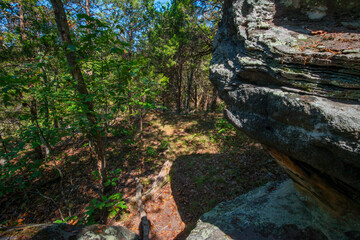 Old river bluff in a secluded woodland forest