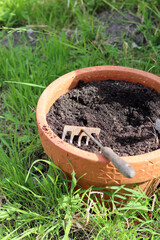 Small garden rake in a pot with fresh ground. Preparation for plant transplantation. Summer day in the garden. 