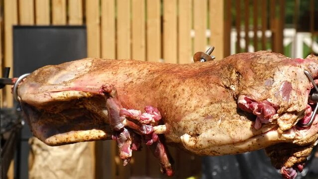 Roast Lamb on Spit. Crispy fat Lamb on skewer grilled using hot charcoal. Whole lamb barbecue spitfire roasted. Appetizing grilled carcass of lamb close up. Cooking meat. Catering. Picnic or banquet.