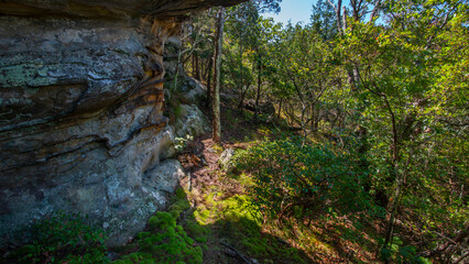 Moss covered trail at the base of a cliff face in a woodland forest