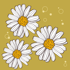 Daisies are a set of vector flowers for postcards, stickers, cards, banners, etc