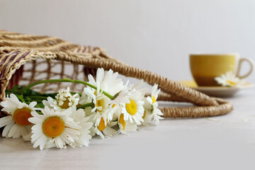  Summer mood: a bouquet of daisies in a wicker basket close-up on the background of a yellow cup of tea, space for text