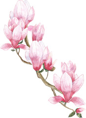 pink magnolia flower blossom bouquet composition leaves bamboo watercolor twig branch wreath