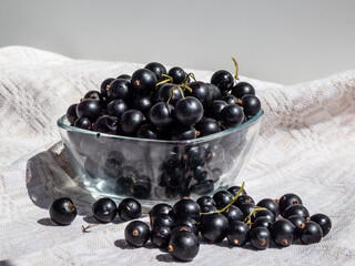 Close-up shot of perfect ripe blackcurrants (ribes nigrum) on the white tablecloth and in the glass bowl in bright sunlight. Healthy snack