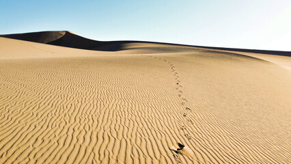 Sand Dunes in Death Valley