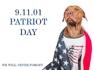 Patriot Day. We will never forget. Adorable puppy and American Flag. Close-up, isolated background....