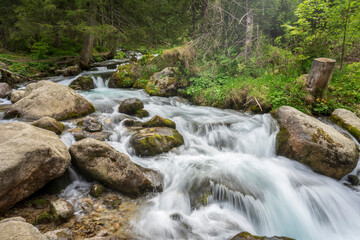 Fototapeta na wymiar Olczyski Stream in the Western Tatras. Poland.