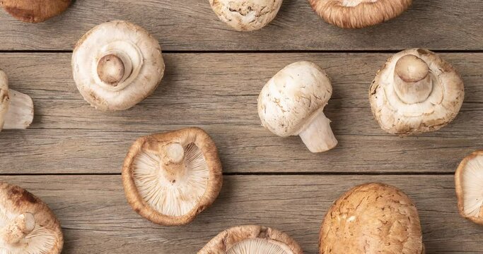 Shitaki, portobello and paris mushrooms over wooden table