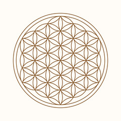 Esoteric Flower Of Life symbol. Vector illustration