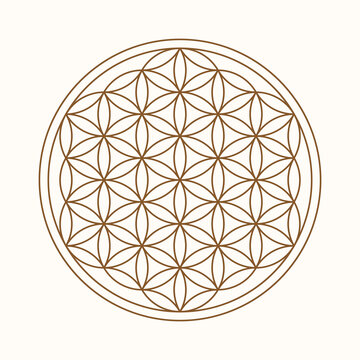 Esoteric Flower Of Life symbol. Vector illustration