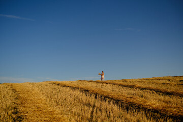 a large harvested wheat field