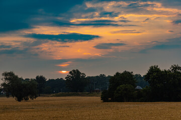 Beautiful cloudy sunrise over big yellow field and trees of forest