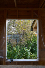 View on garden with raspberry bushes and plum tree from the window in unfinished wooden house.