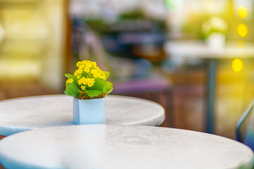 Yellow flowers in a square vase stand on a table in a restaurant