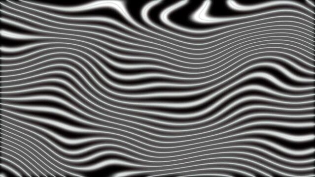 Black and white undulating lines. 4K animation.