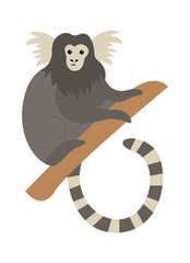 Marmoset monkey Exotic Animal. Vector illustration