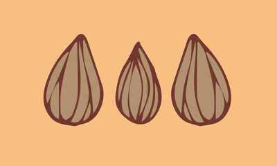 Almond icon. Hand draw illustration of almond vector icon for web