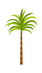 Palm Tree Tropical Plant. Vector illustration