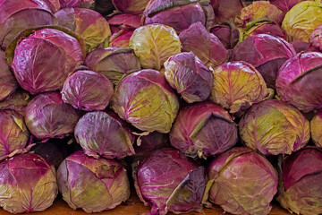 Fototapeta na wymiar Raw purple cabbage pile on market