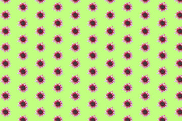Beautiful chrysanthemums in geometric grid pattern on a light green background