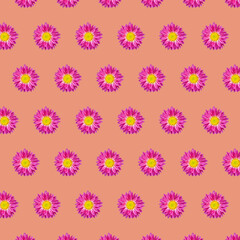 Fototapeta na wymiar Beautiful chrysanthemums in geometric grid pattern on a calming coral background