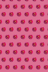 Beautiful chrysanthemums in geometric grid pattern on a calm pink background. Vertical floral wallpaper 