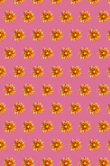 Yellow chrysanthemums in geometric grid pattern on a calm pink background. Vertical floral wallpaper 