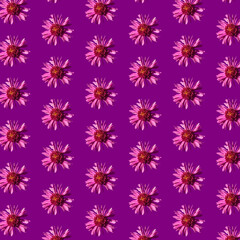 Beautiful chrysanthemums in geometric grid pattern on a velvet violet background