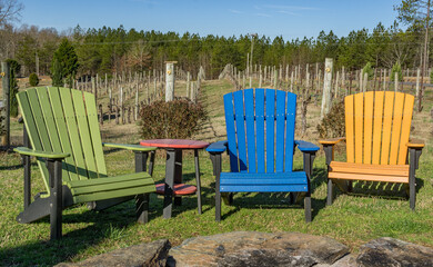 Colorful Adirondack Chairs in a Vineyard