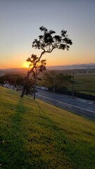 Silhouette of a tree at sunset with a street nearby and the mountains in the background.