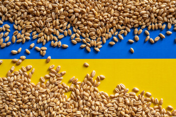Wheat grain and Ukraine flag colors. Concept of grain floating problems