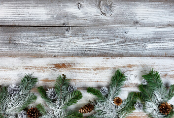 Snow covered fir or pine tree branches with silver and gold pinecone on white rustic wood for the holiday season