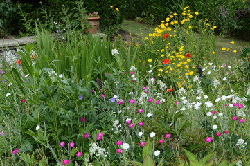 Magnificent flower borders with lots of native wildflowers at 16th century Earlshall Castle, Leuchars, Fife, Scotland, July 2022, Open Gardens