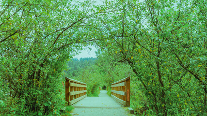 Wooden bridge on urban forest and marsh trail in BC.
