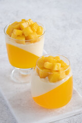 Italian dessert panna cotta with mango jelly and pieces of fresh mango.